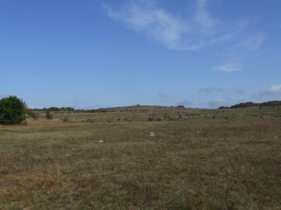 Прикрепленное изображение: DSCF5772.jpg